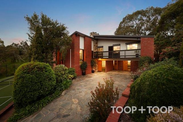 19 Pellew Avenue, SA 5072