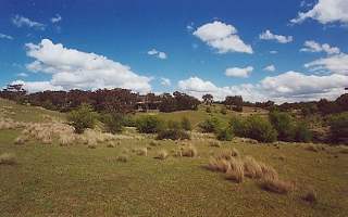 View (2001-11-02)
