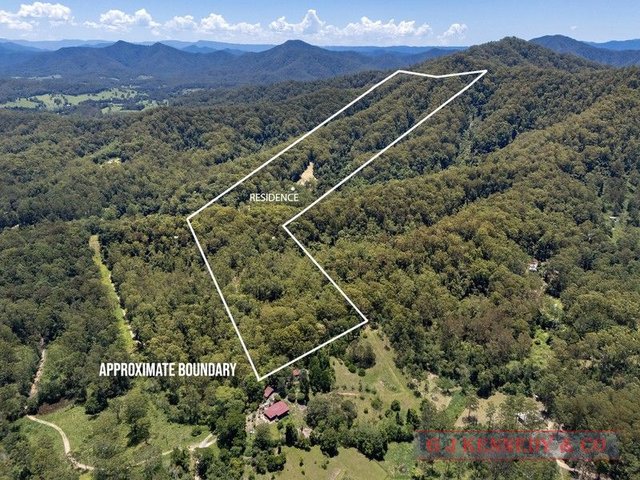 695 Bellingen Rd, NSW 2449