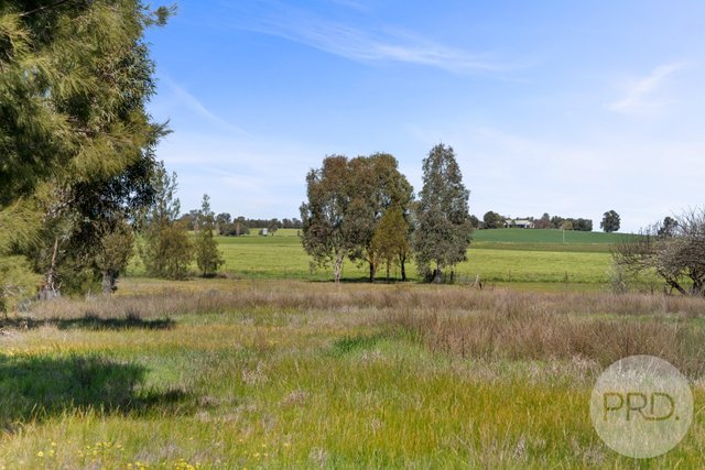 51 Plunkett Street, NSW 2642