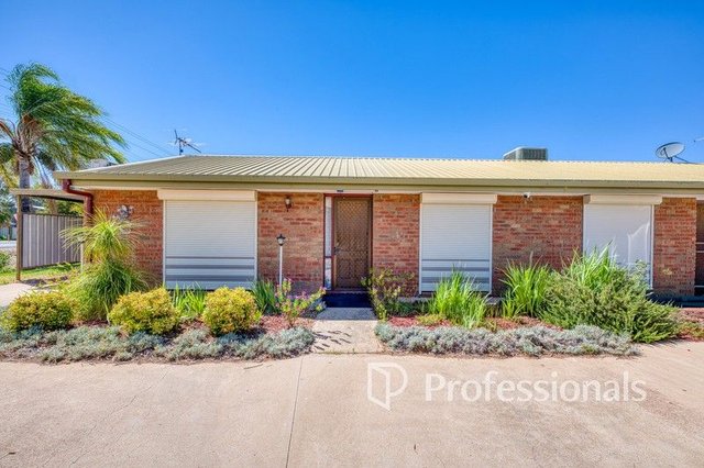 1/226 Adams Street, NSW 2648