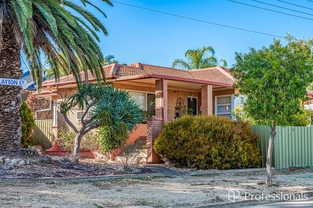 31 Rialto Avenue, SA 5096