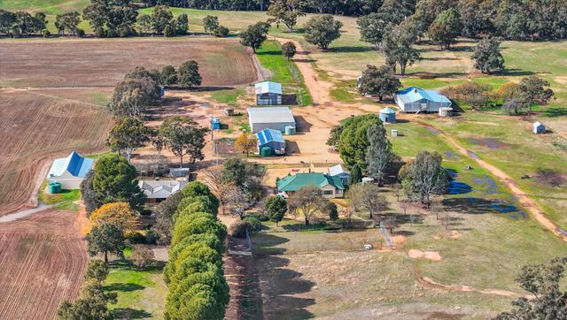 279 Old Forbes Road, NSW 2810