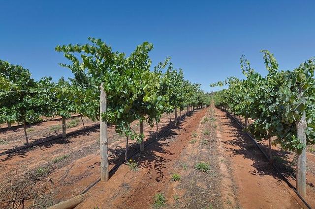 Lot 2 Buloke Street, VIC 3496