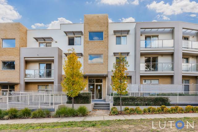 19/31 Thynne Street, ACT 2617