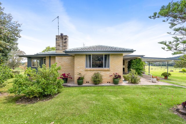 31 Johnsons Creek Road, NSW 2415