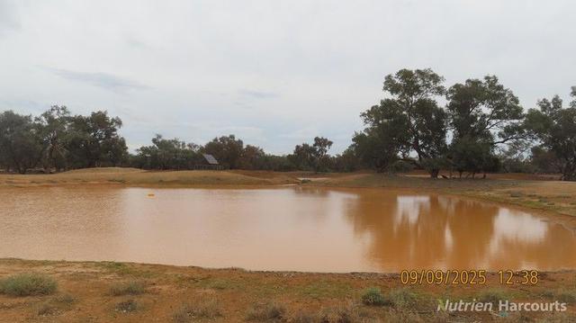 * Tichawanta, NSW 2839