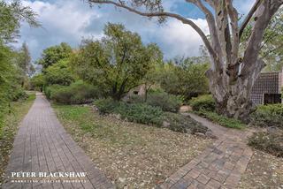 Front garden (2016-04-14)