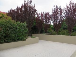 Central Garden (2015-03-18)