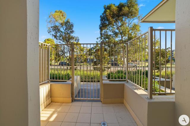 5/31 Thynne Street, ACT 2617