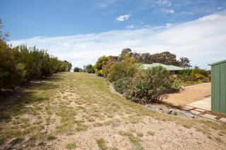 Backyard (2013-08-14)
