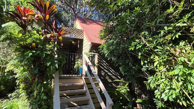 8/10-12 Tropic Lodge Place, NSW 2450