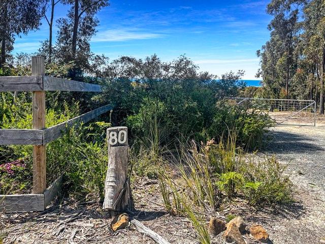 80 McManus Drive, TAS 7215