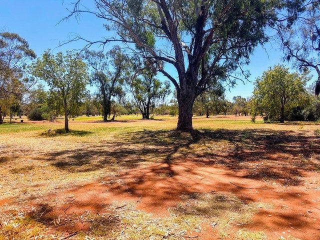 61 Molong Street, NSW 2877