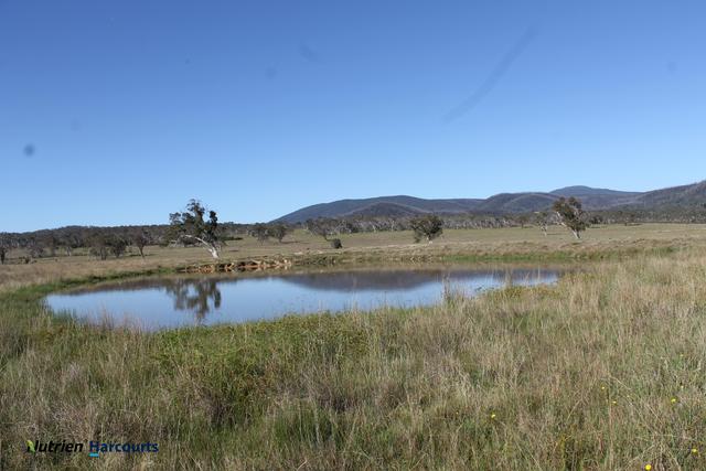 1253 Bombay Road, NSW 2622