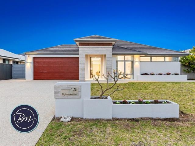 25 Figtree Avenue, WA 6166
