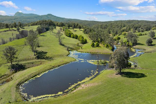 703 Brays Creek Road, NSW 2484