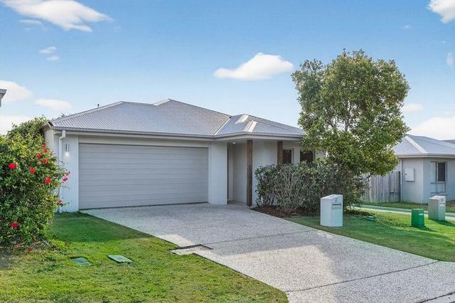 16 Sandpiper Street, QLD 4014