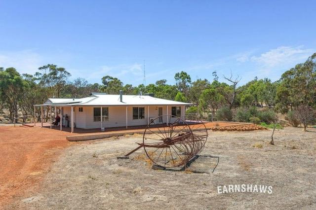 60 Jose Road, WA 6562