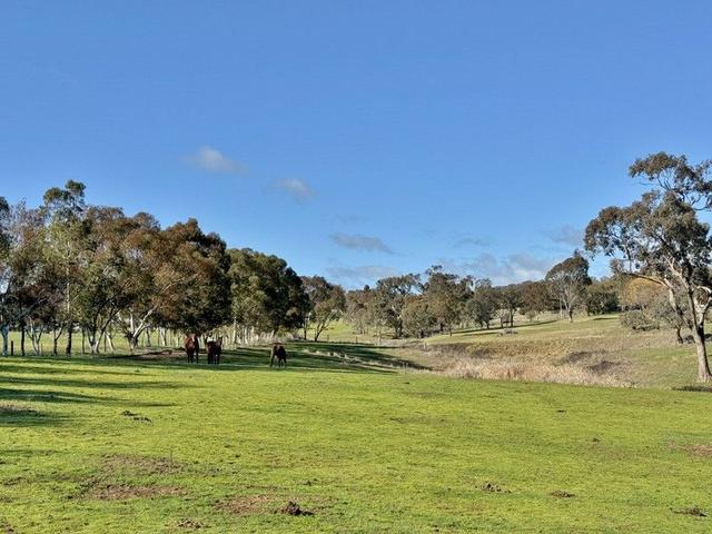 77 Newton Road, NSW 2594