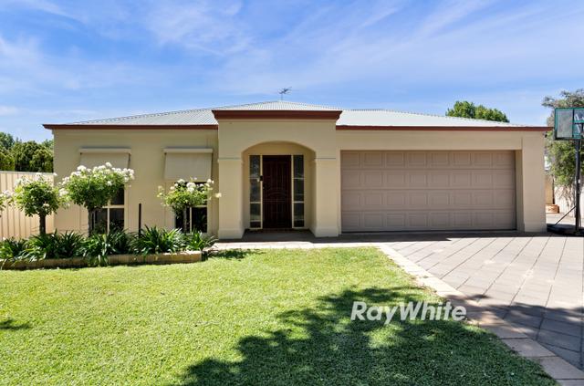 17 Plane Tree Drive, VIC 3500