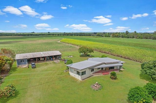 750 Four Mile Road, QLD 4850