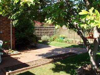 Backyard (2007-04-16)