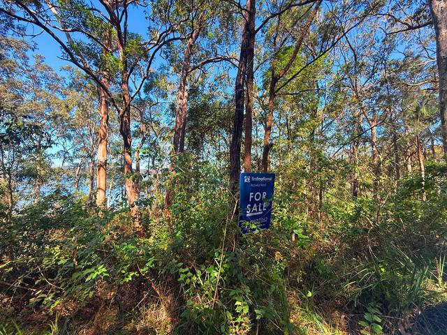 Lot 1753 Allandale Crescent, NSW 2324