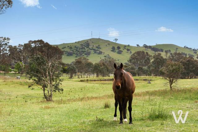 6 Stringybark Place, NSW 2582