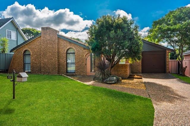 12 Peppermint Crescent, NSW 2747