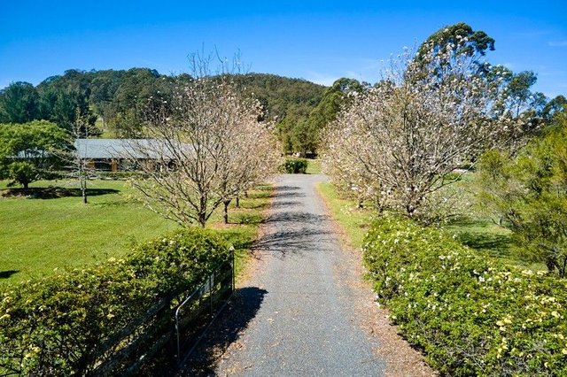 48 Markwell Back Road, NSW 2423