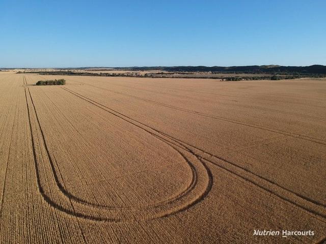 Lot 1834 Brand Highway, WA 6532