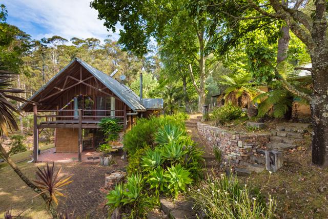 262 Mumbulla Creek Road, NSW 2550