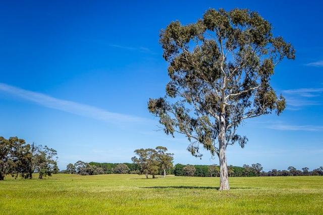 520 Walkington Hills Road, SA 5268