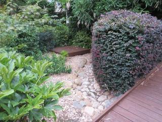 Dry creek bed in central garden (2015-03-18)