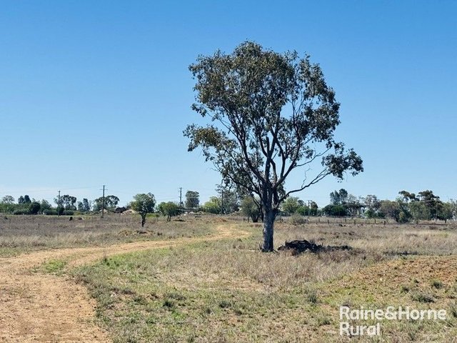 61 Upper Bowen Street, QLD 4455