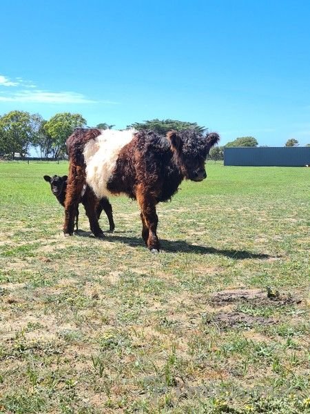 20 Stawell Street, VIC 3971