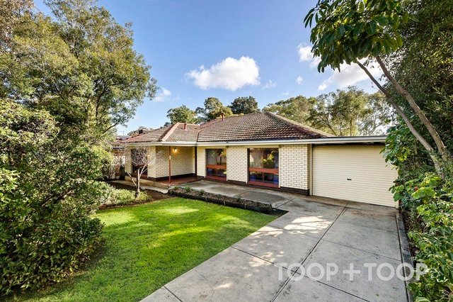 18 Radiata Road, SA 5089