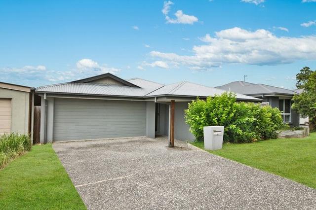 31 Paddy Circuit, QLD 4208