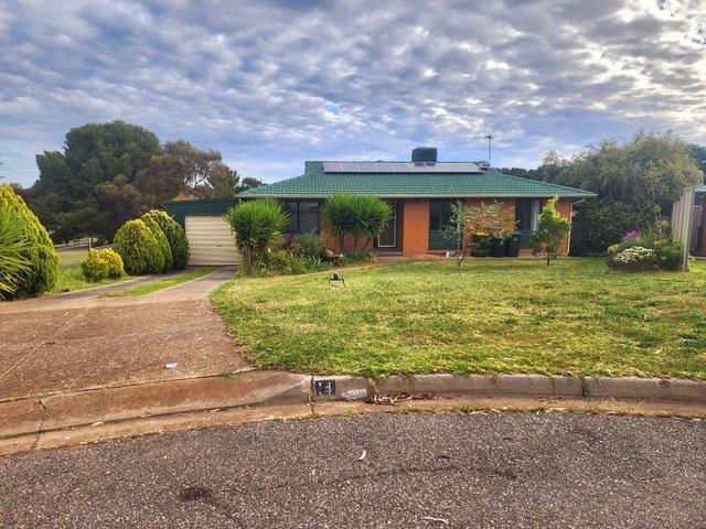 14 Bodo Court, SA 5163