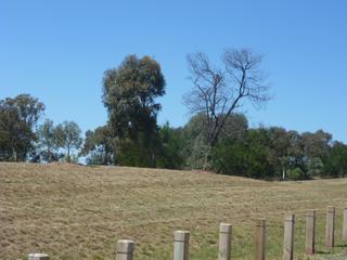 Overlooking Parkland