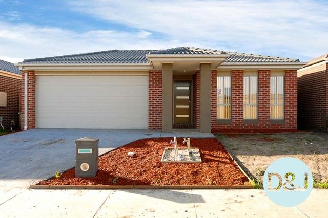 30 Brolin Terrace, VIC 3977