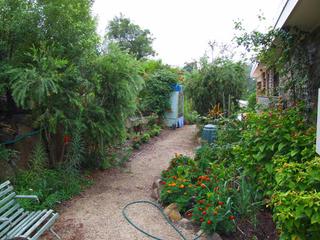 Garden (2009-02-10)