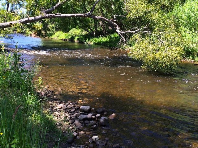 1093 Taggerty-Thornton Road, VIC 3712