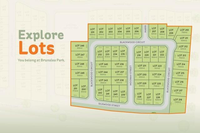 8 Blackwood Circuit, NSW 2651