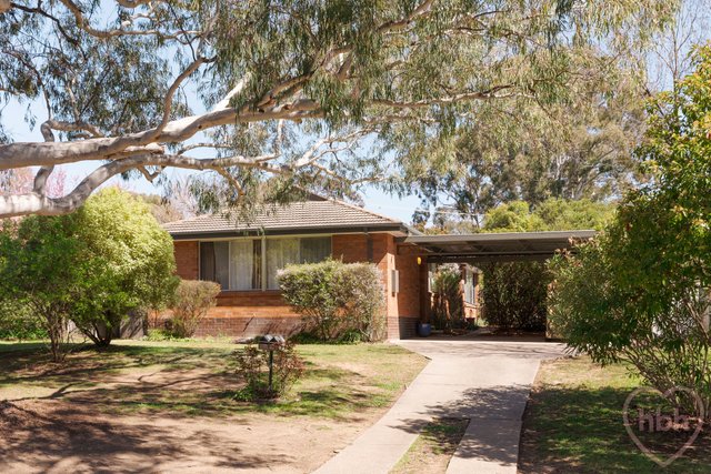 24 Bambridge Street, ACT 2614