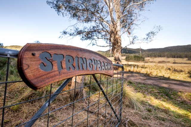 153 Blue Bush Road, NSW 2622