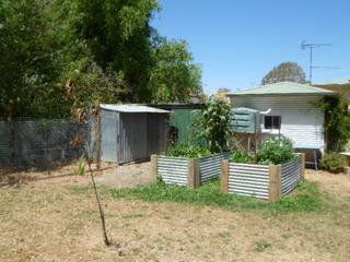 Garden (2014-02-03)