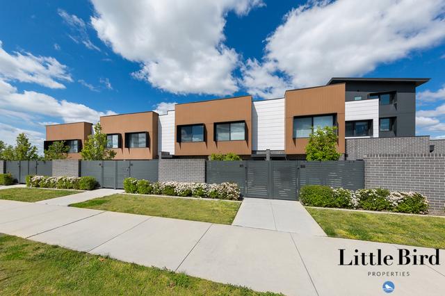 3/2 Telfer St, ACT 2611