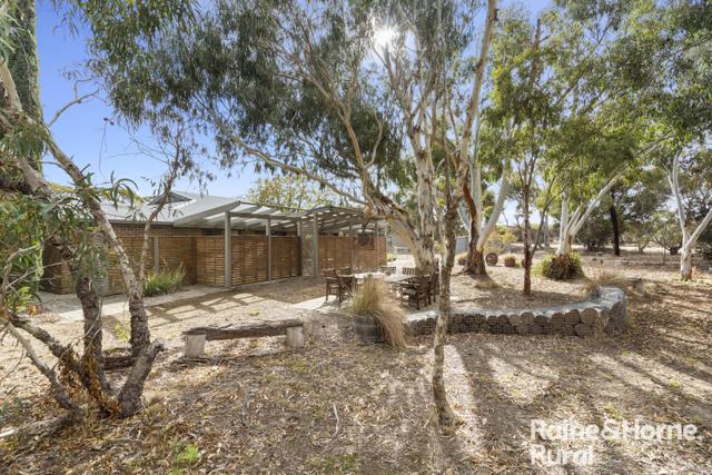 265 Skewes Road, SA 5214